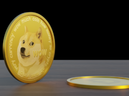 Dogecoin sẽ tiếp tục biến động trong thời gian tới